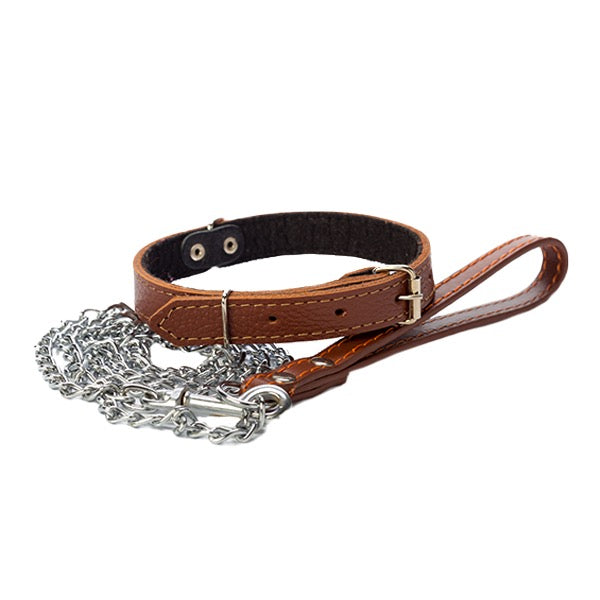 Dog Leashes and Collars