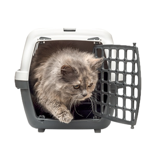 Cat Travel Accessories - Pet Supplies
