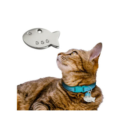 Cat collar hot sale tags personalized