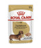 Royal Canin - Breed Health Nutrition Dachshund Adult (Wet Food - Pouches)