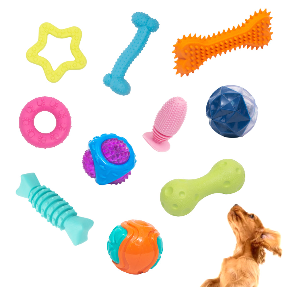 Squeaky Toys for Dogs - Pets Lounge