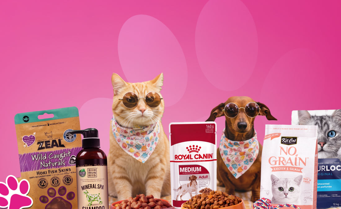 Pets Lounge