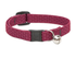 Eco Safety Cat Collar with Bell - Red