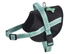 Easy Safe Harness - Lagon