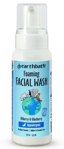 Earthbath Foaming Facial Wash