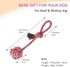 PL - Braided Cotton Pet Chew Rope Toys - Orange