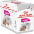 Royal Canin - Canine Care Nutrition Exigent (Wet Food- Pouches)