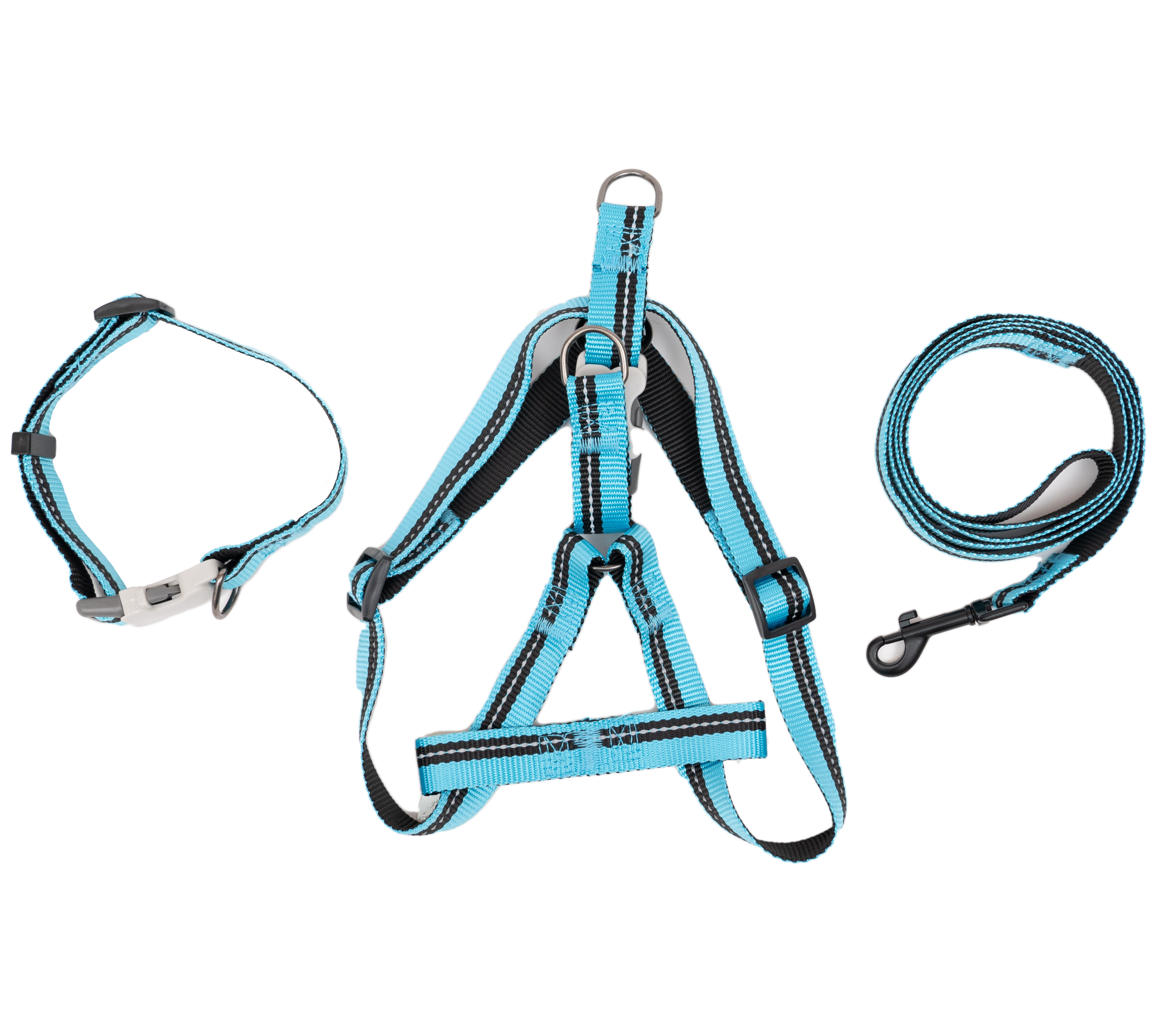 PL - PupGear Collection - Medium (Neon)