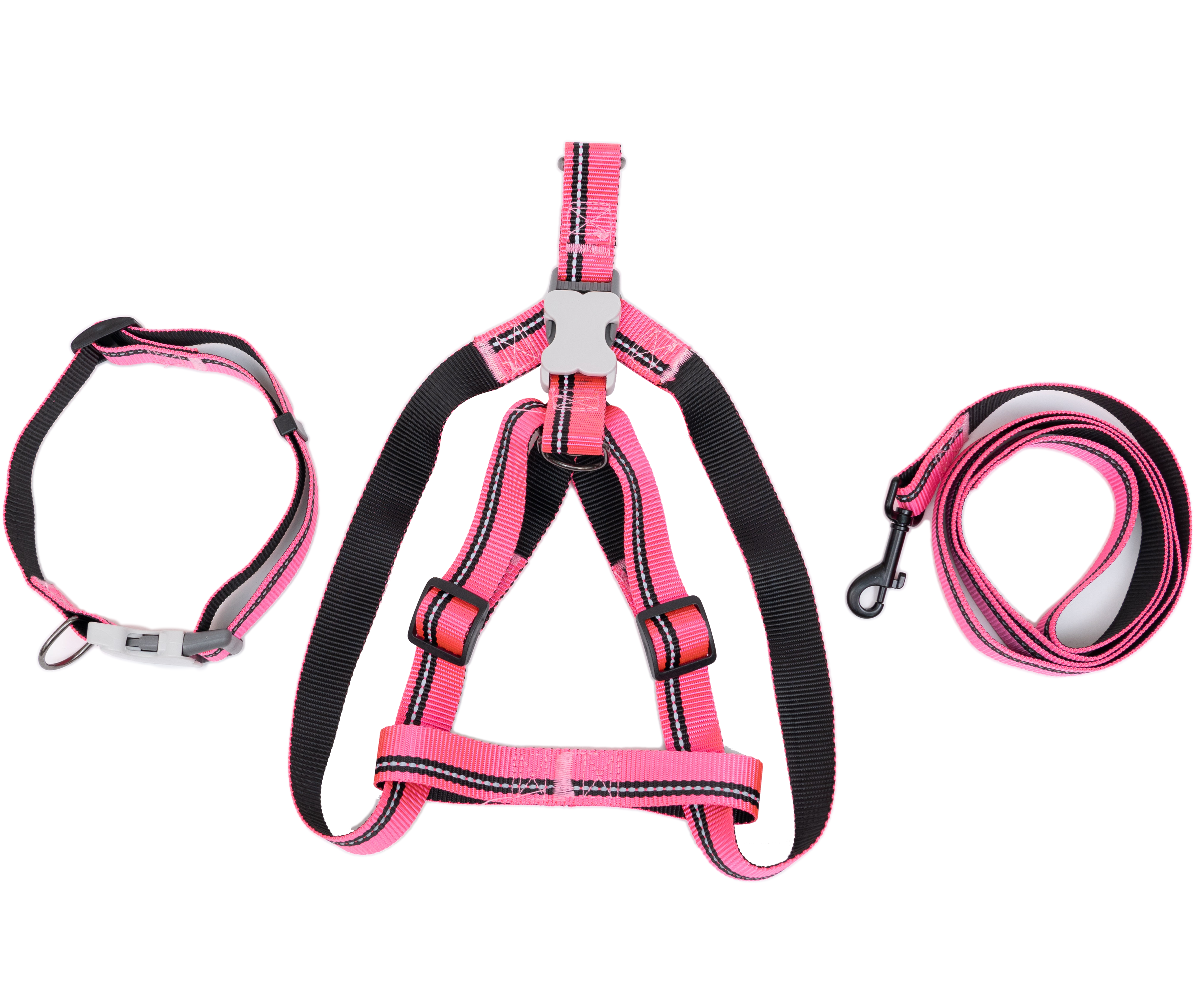 PL - PupGear Collection - Large (Neon)