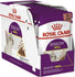 Royal Canin - Feline Health Nutrition Sensory Smell (Gravy)