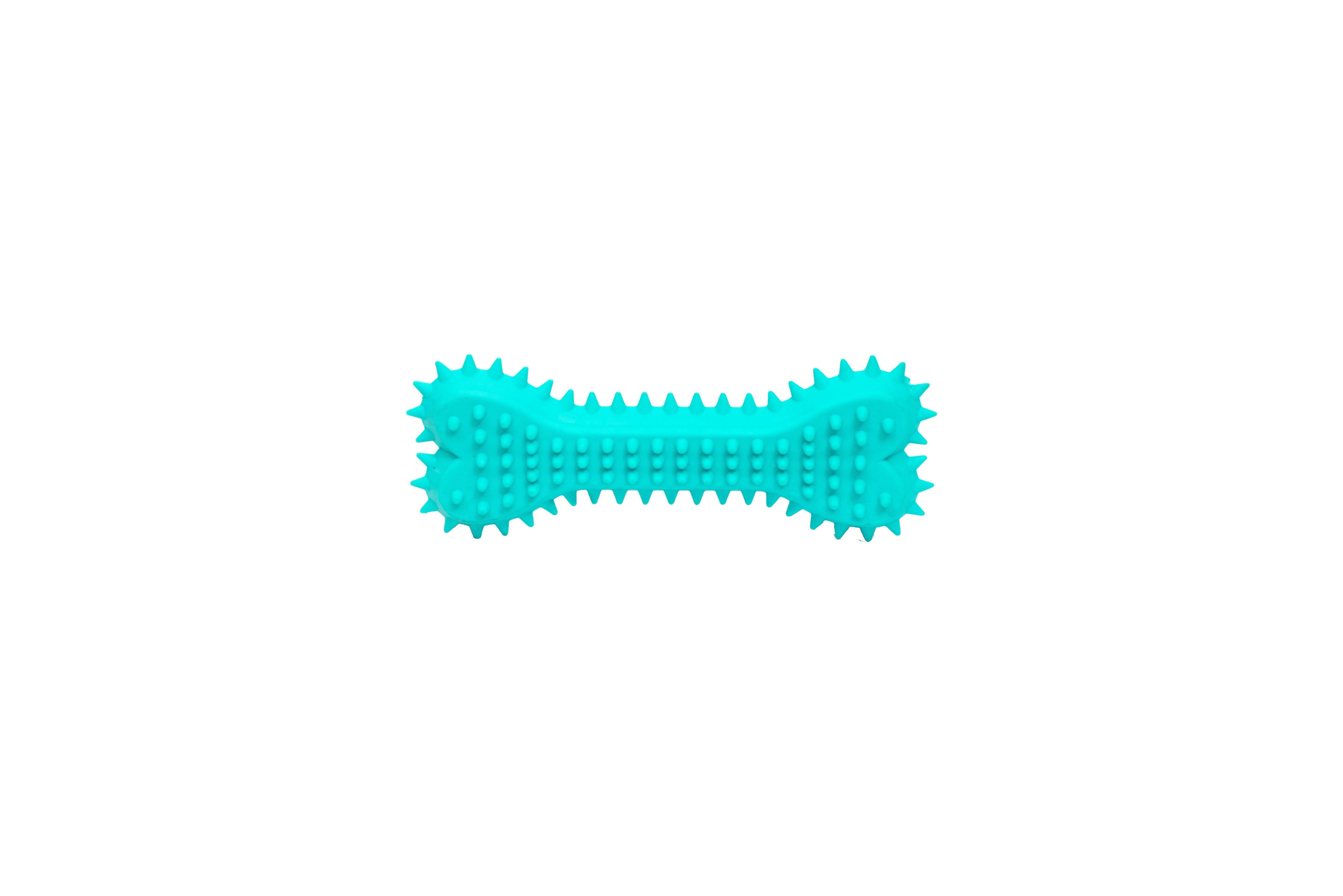 PL - Spiky Bone Chew Toy