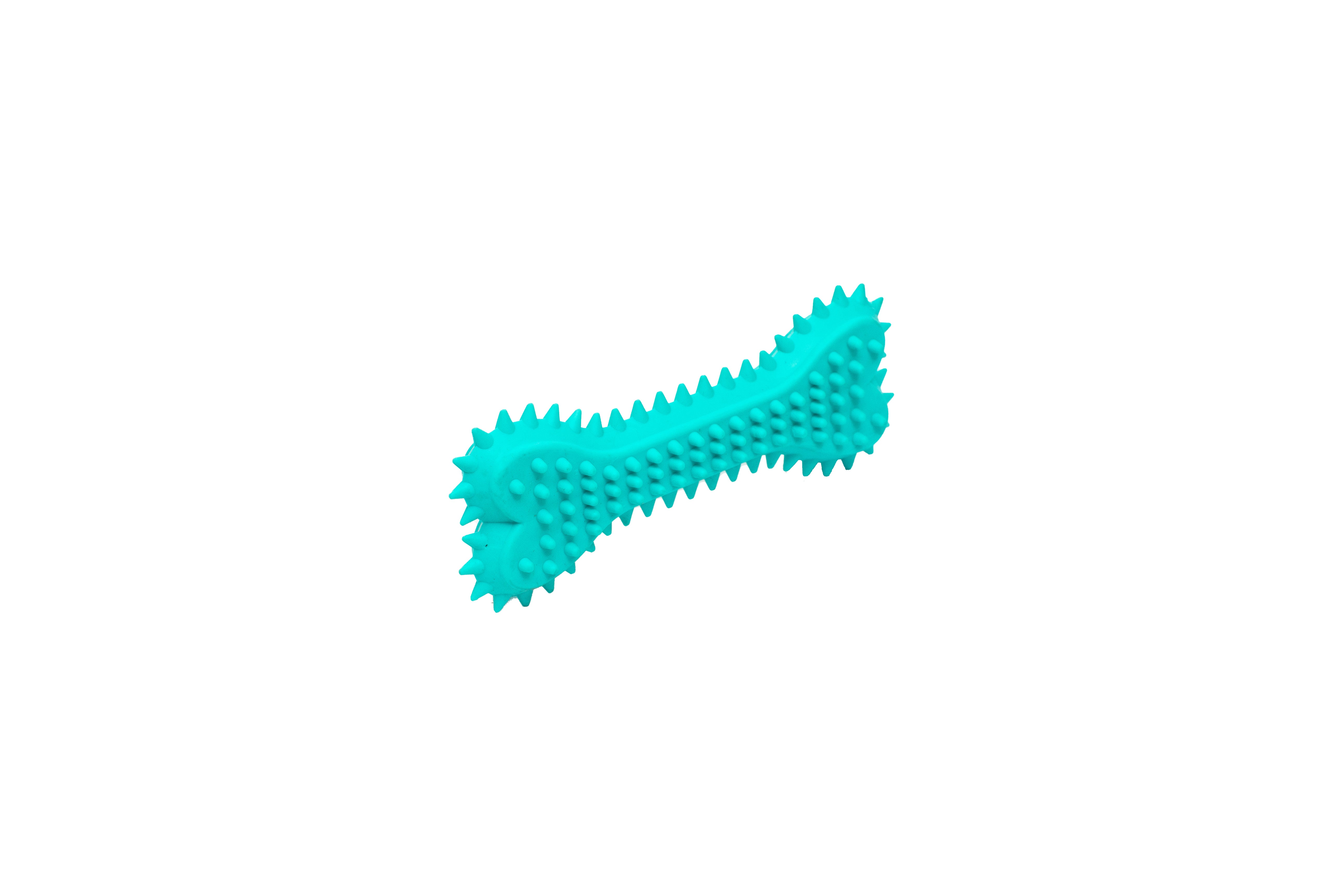PL - Spiky Bone Chew Toy