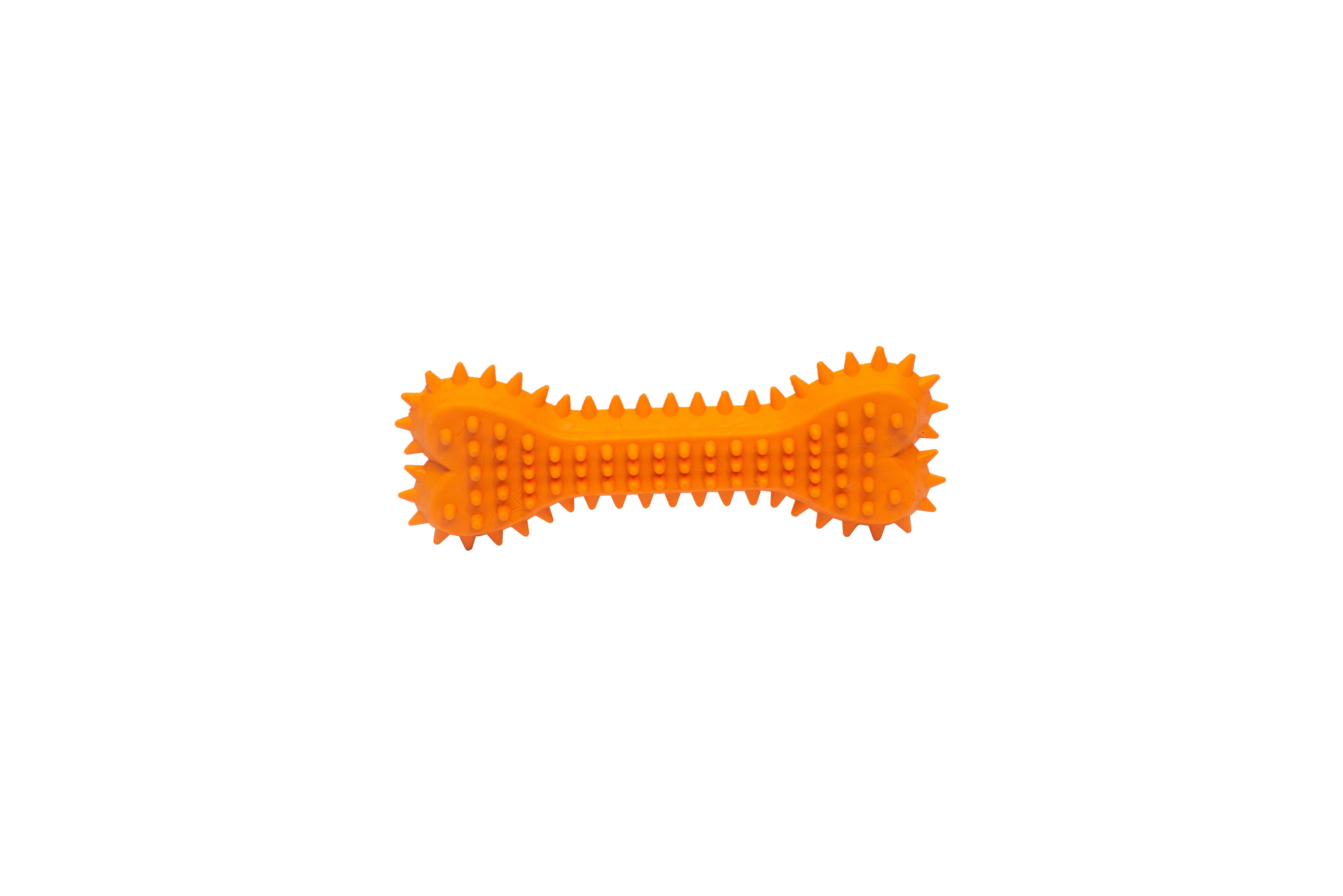 PL - Spiky Bone Chew Toy