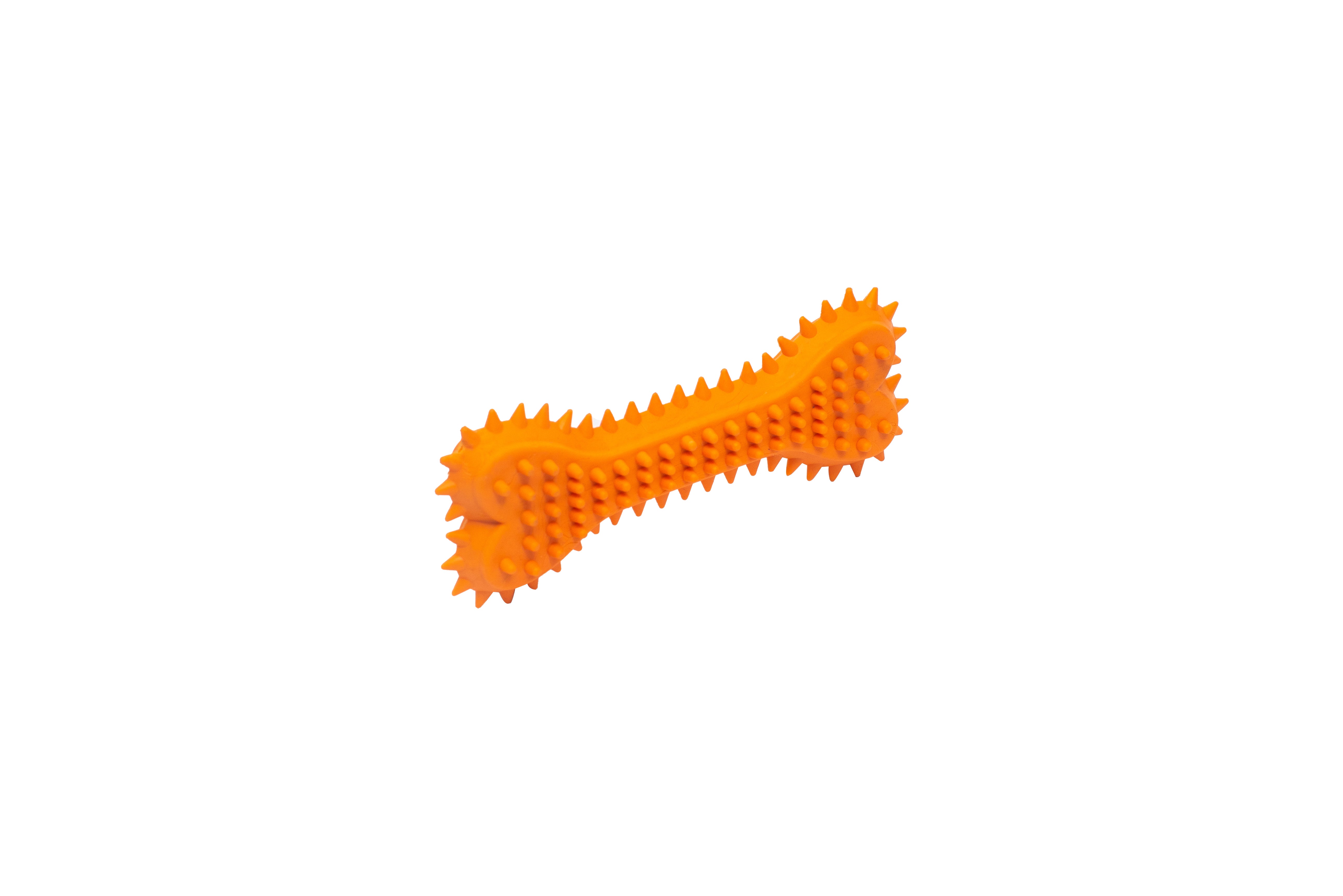 PL - Spiky Bone Chew Toy