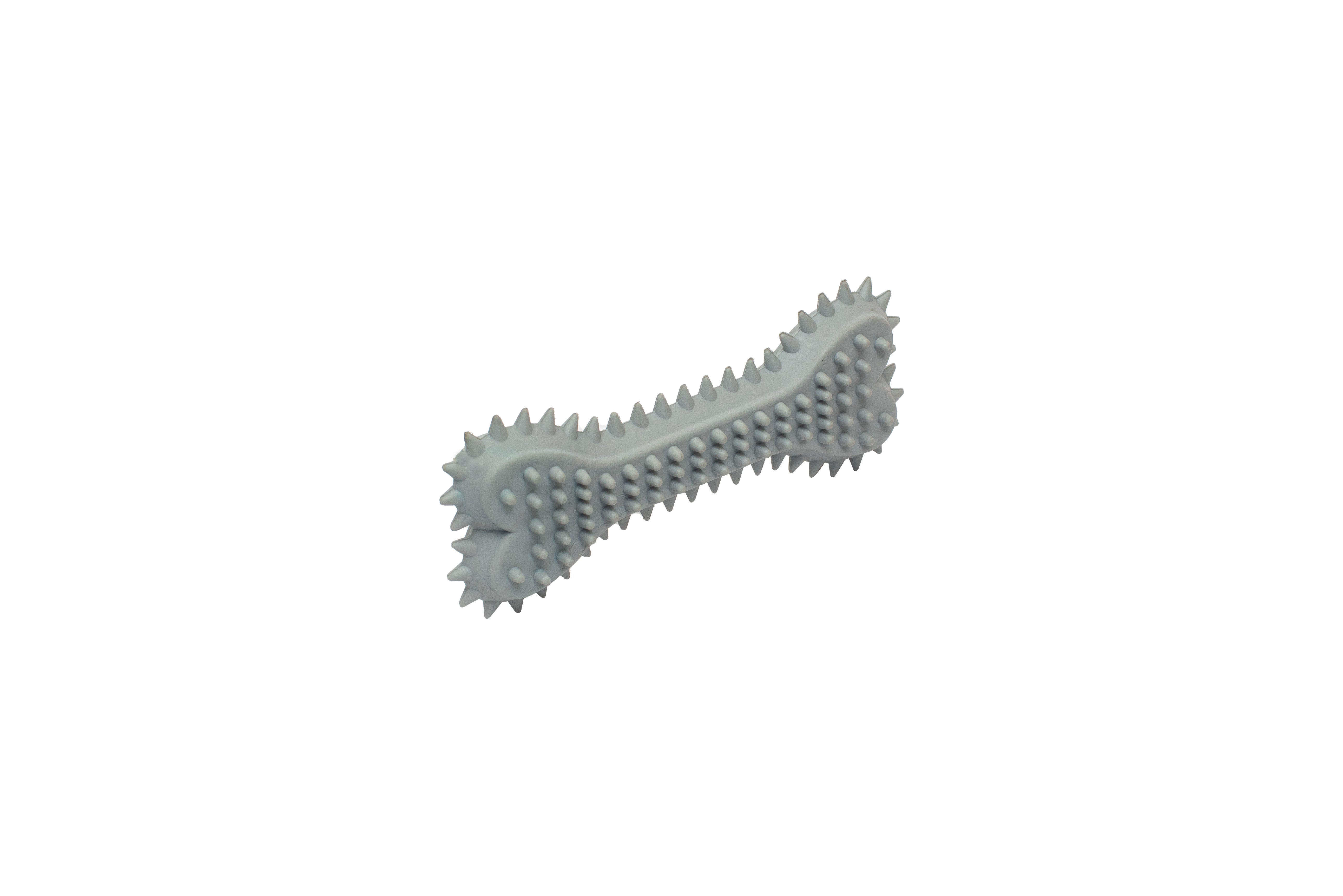 PL - Spiky Bone Chew Toy
