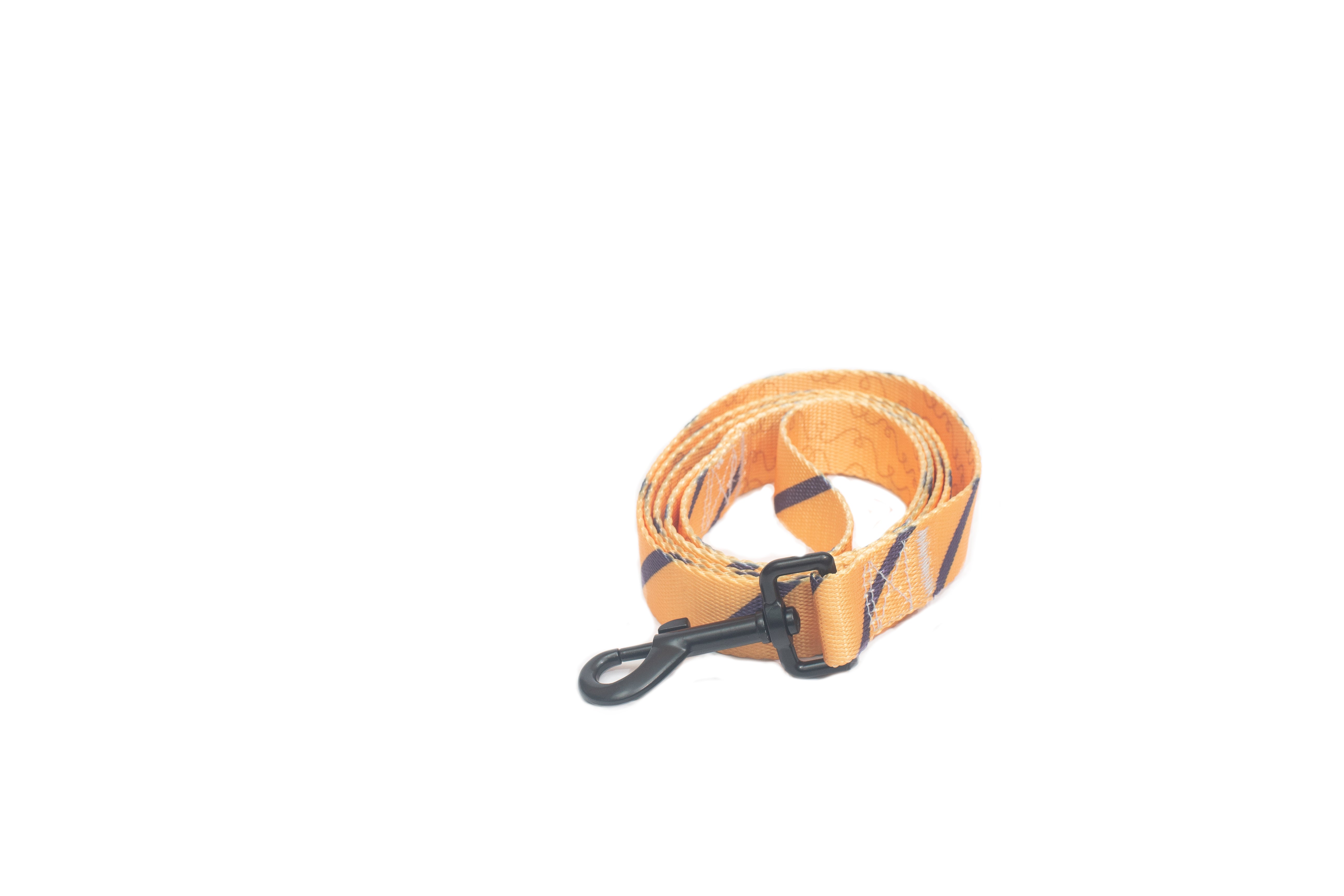 PL - Dog Harness, Collar And Leash Set Large