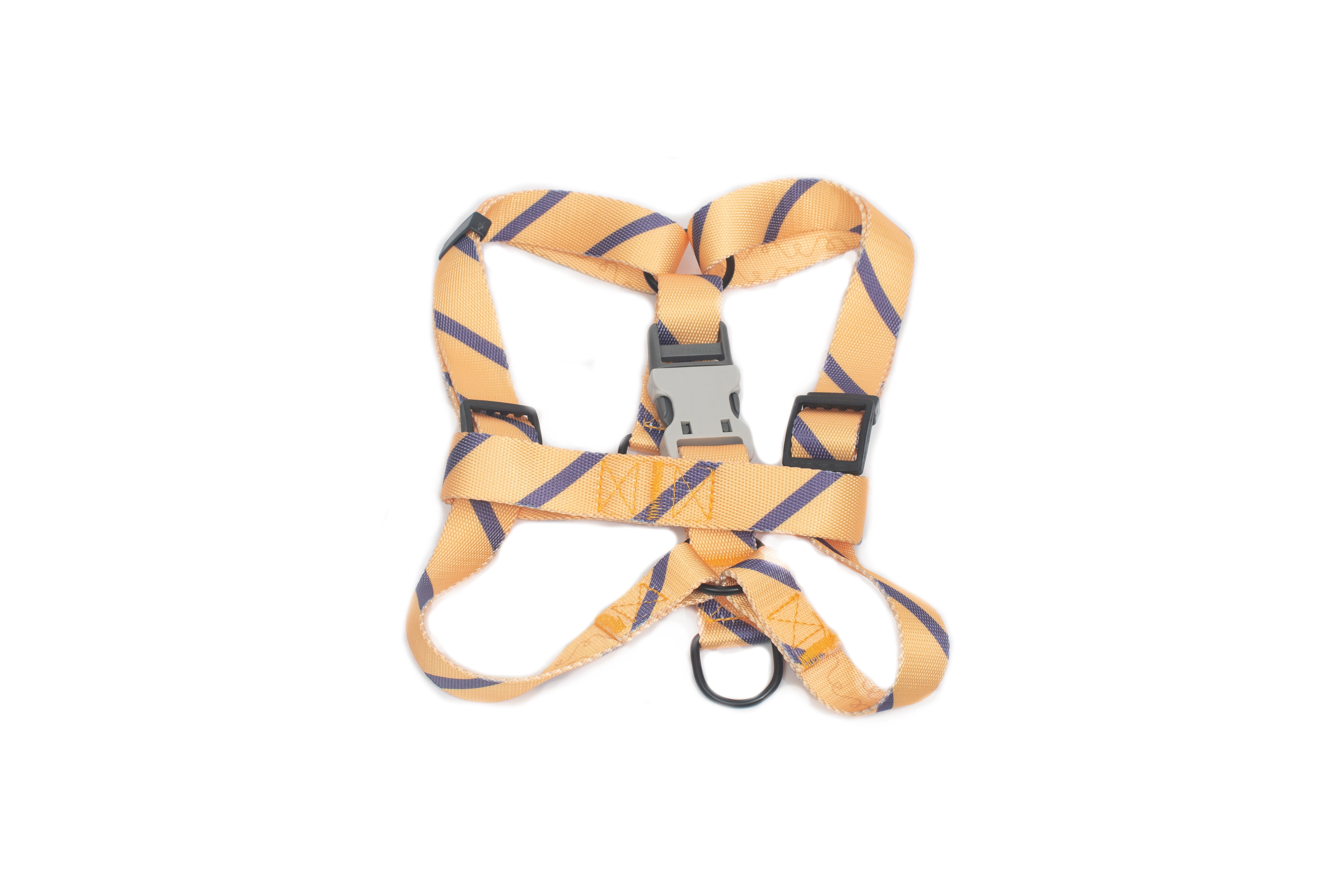 PL - Dog Harness, Collar And Leash Set Large