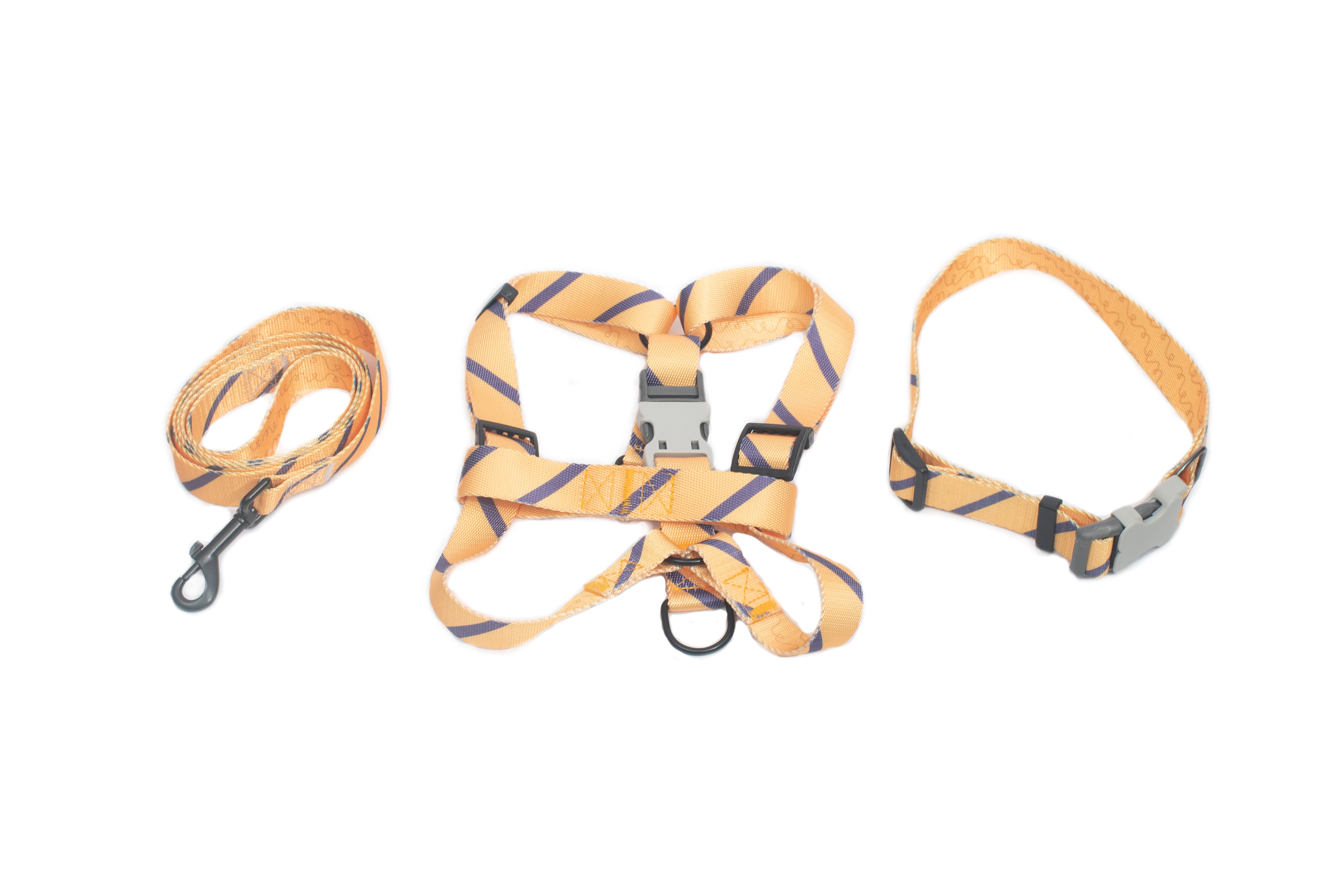 PL - Dog Harness, Collar And Leash Set Large