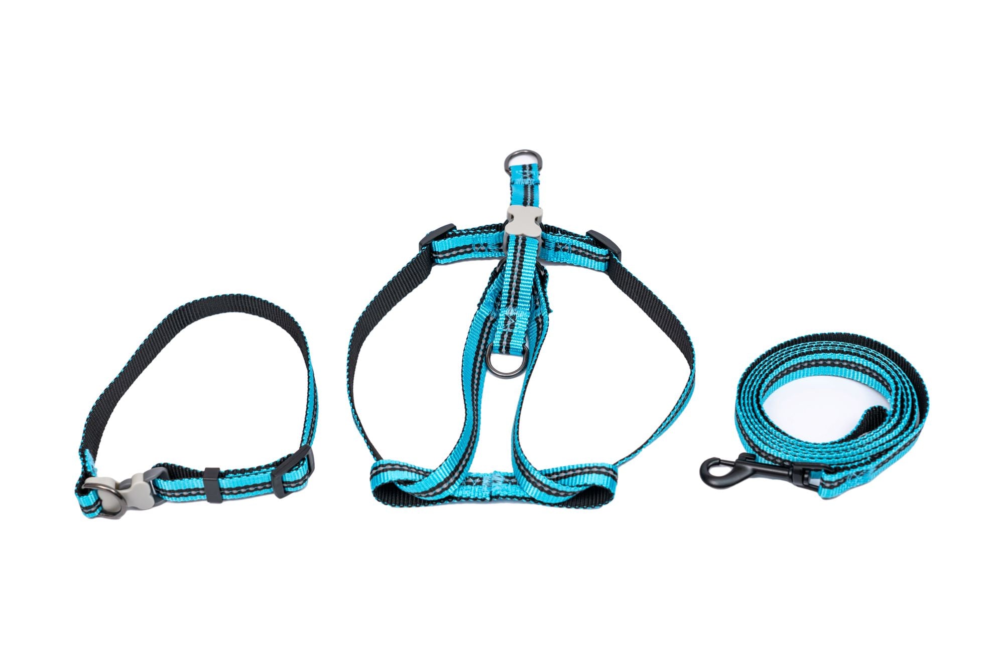 PL - PupGear Collection - Small (Neon)