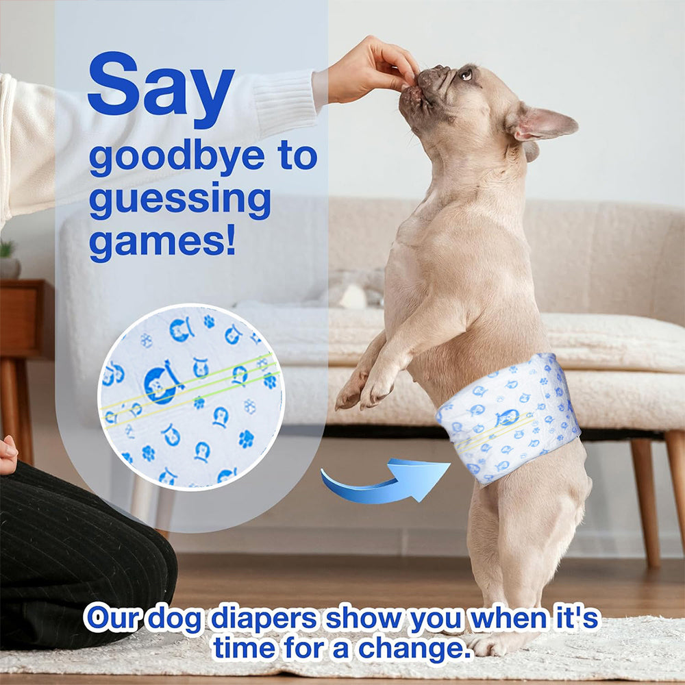 KPDry Keep dry Disposable Male Dog Diapers (Pack of 12)