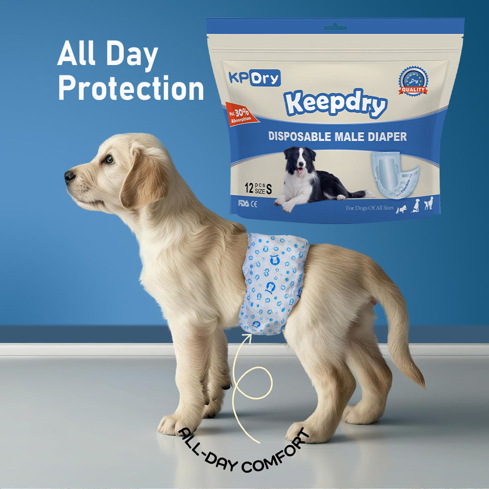 KPDry Keep dry Disposable Male Dog Diapers (Pack of 12)