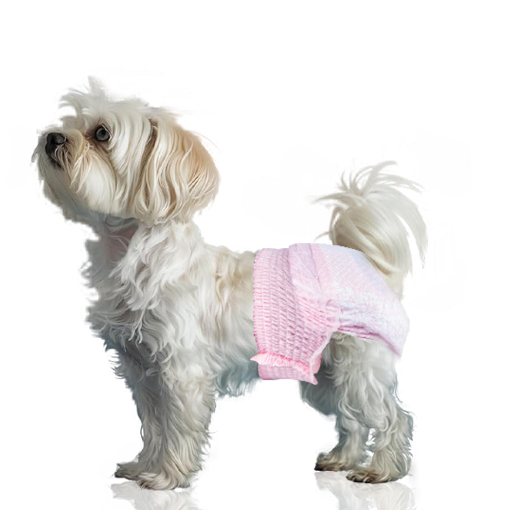 KPDry Keep dry Disposable Female Dog Diapers Pant-Style Pull-On Design (Pack of 10)