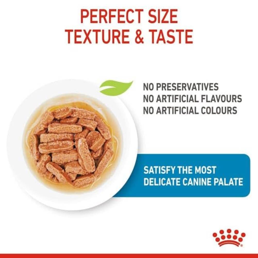 Royal Canin - Medium Puppy (Wet Food - Pouches)