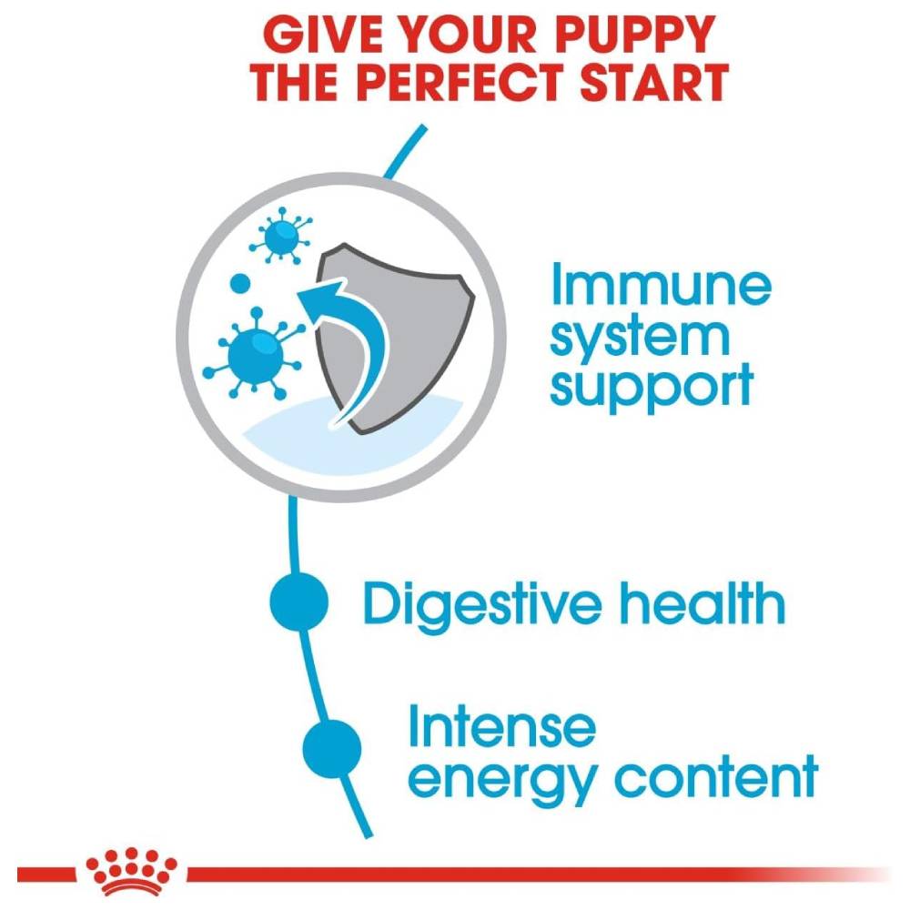 Royal Canin - Mini Puppy
