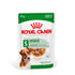 Royal Canin - Mini Adult (Wet Food - Pouches)