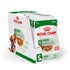 Royal Canin - Mini Adult (Wet Food - Pouches)