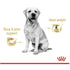 Royal Canin - Breed Health Nutrition Labrador (Wet Food)