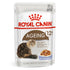 Royal Canin - Feline Health Nutrition Ageing +12 Jelly (WET FOOD - Pouches)