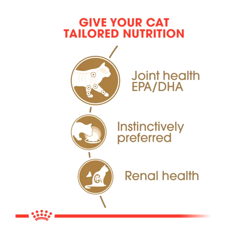 Royal Canin - Feline Health Nutrition Ageing +12 Jelly (WET FOOD - Pouches)