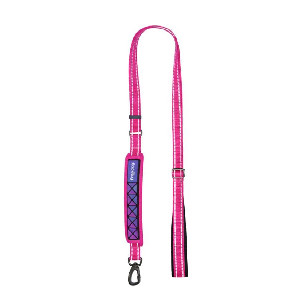 Freedog Boreal Reflective Dog Leash | Medium | Color-Changing & Padded
