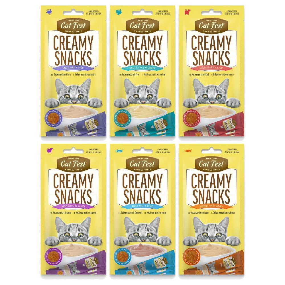 Six packages of Cat Fest Creamy Snacks on a white background