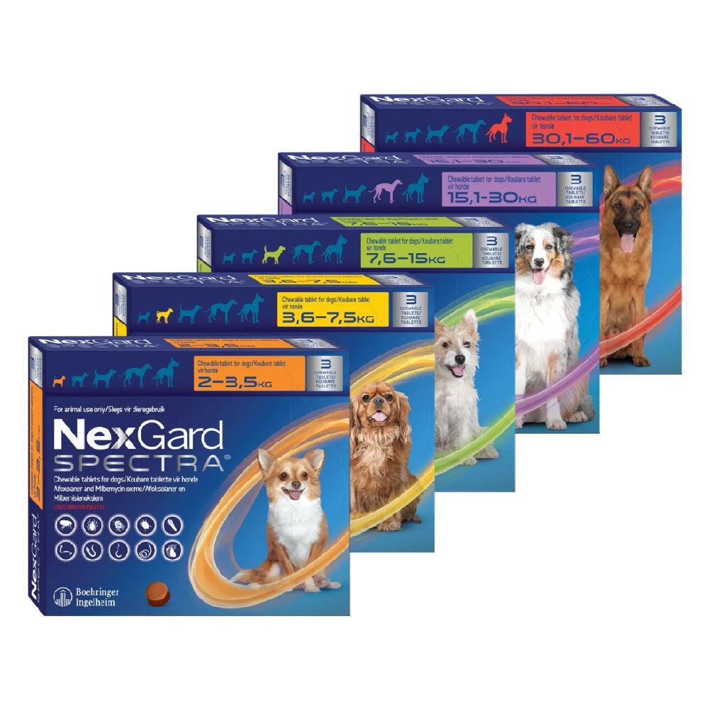 NexGard SPECTRA Chewable Tablets for Dogs