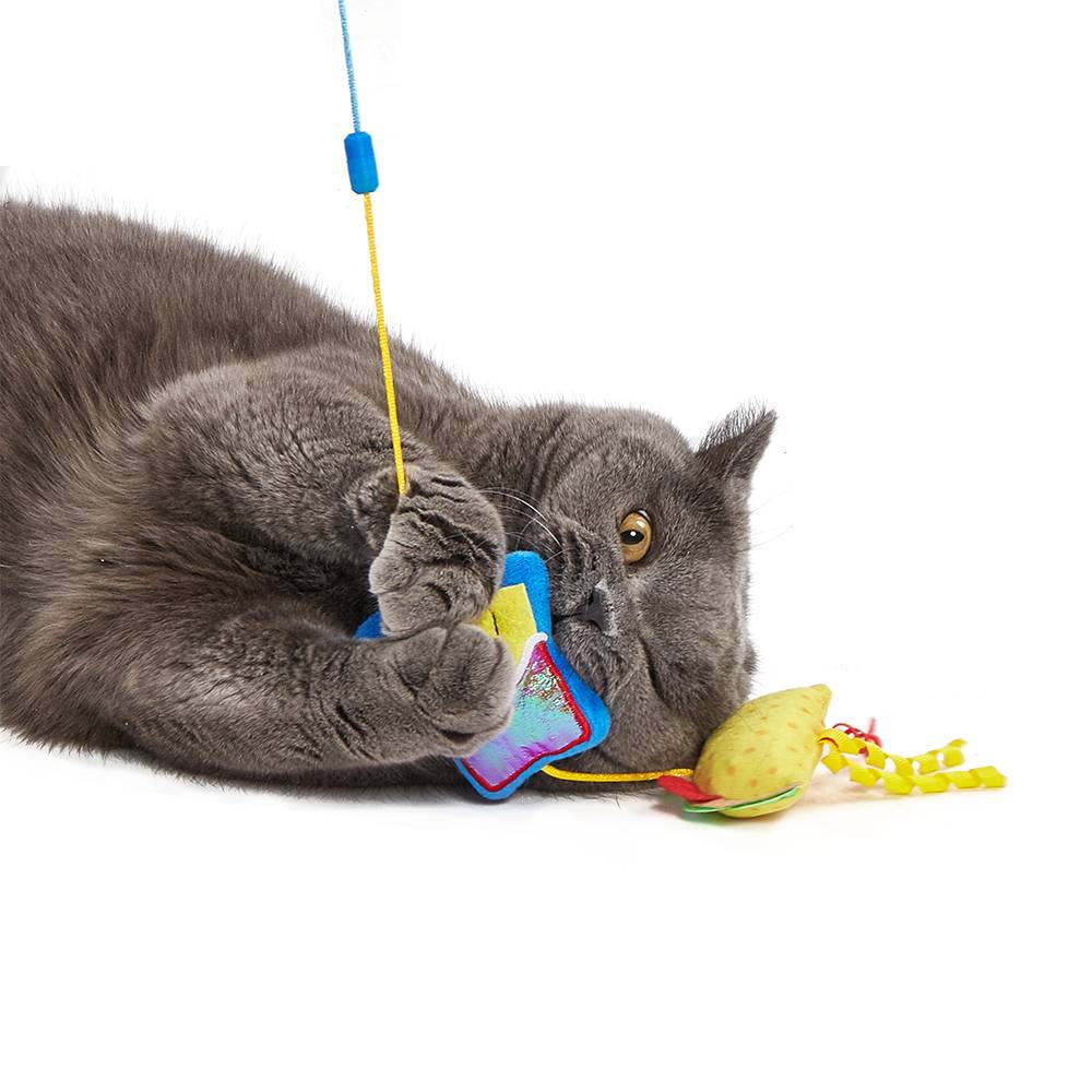 FOFOS Replaceable Cat Wand Toy – Interactive Feather Wand for Cats