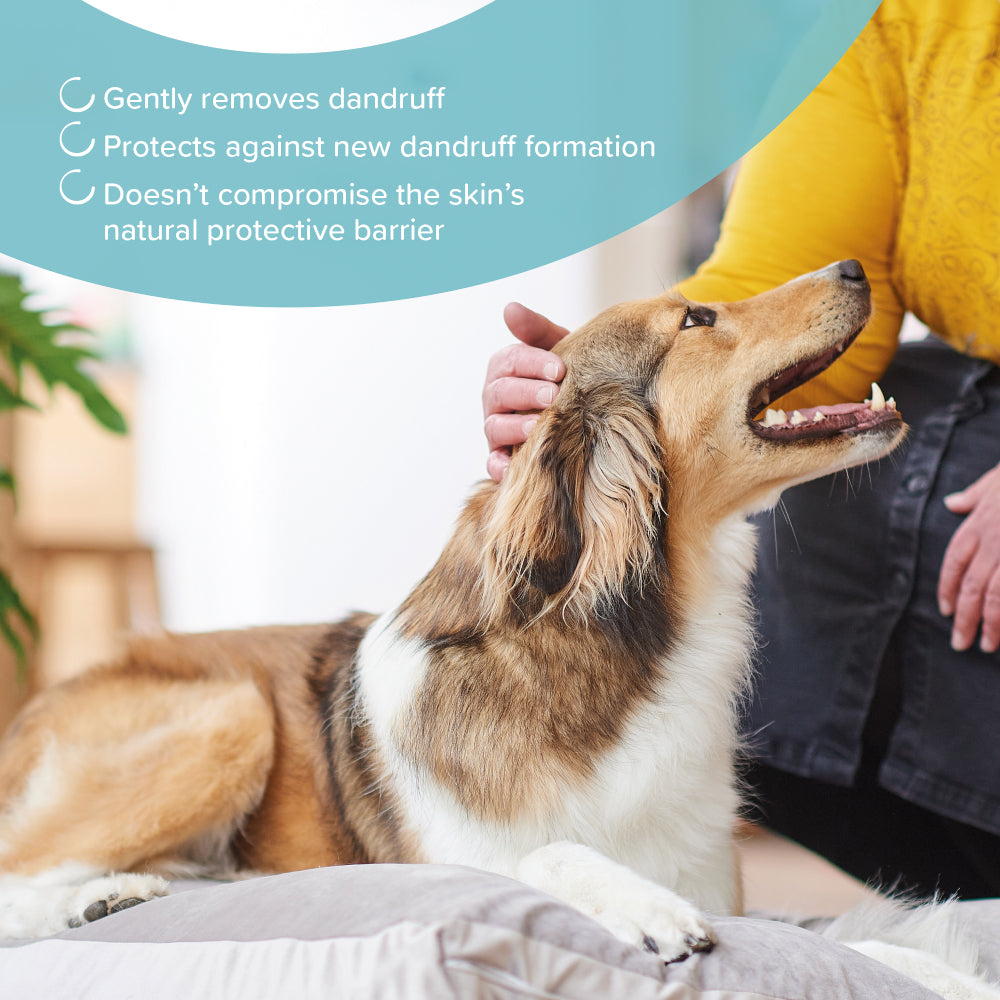Beaphar - Sensitive Skincare Hypoallergenic Shampoo for Cats and Dogs 250 ml