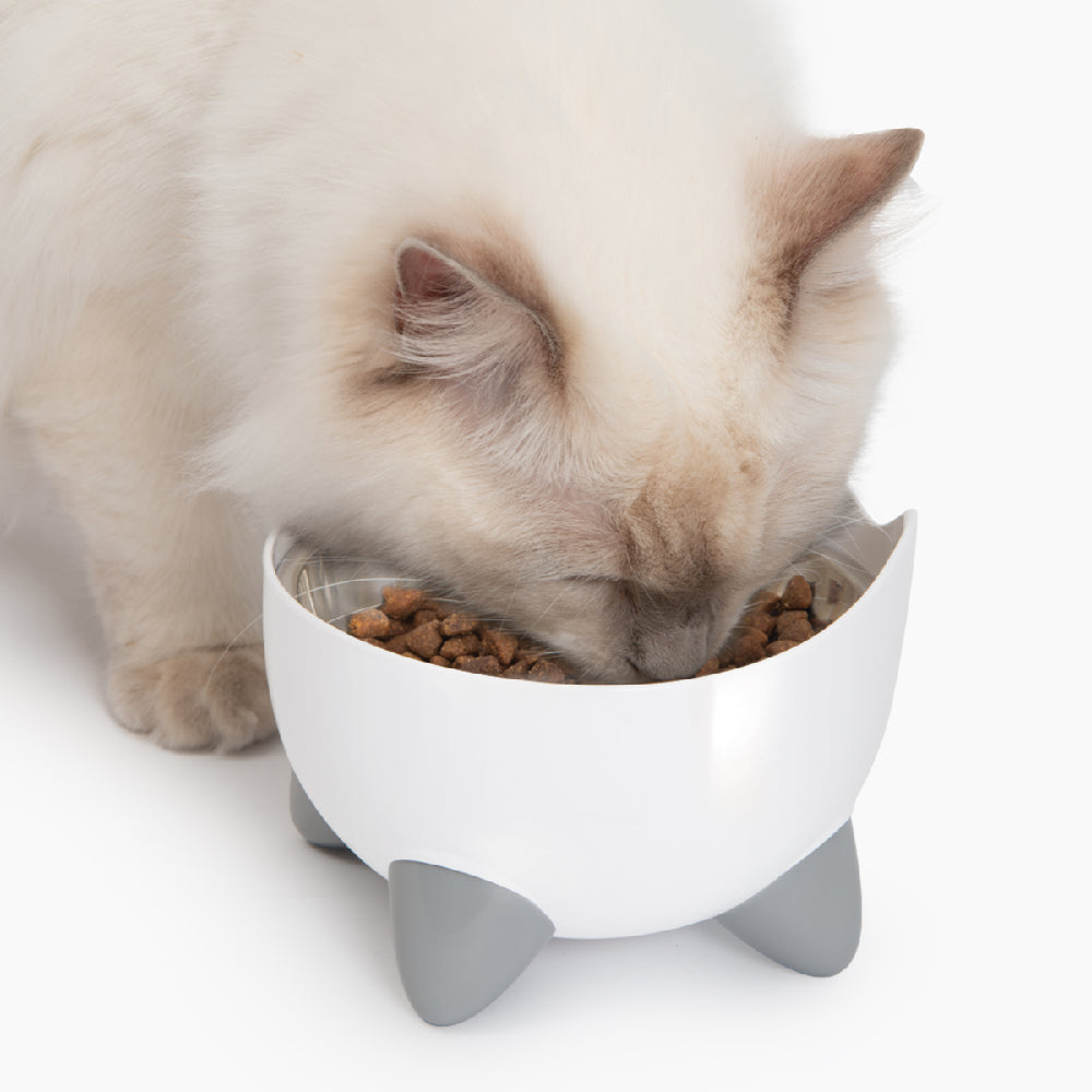 CatIt Pixi Drinking Fountain Combo pack for cat