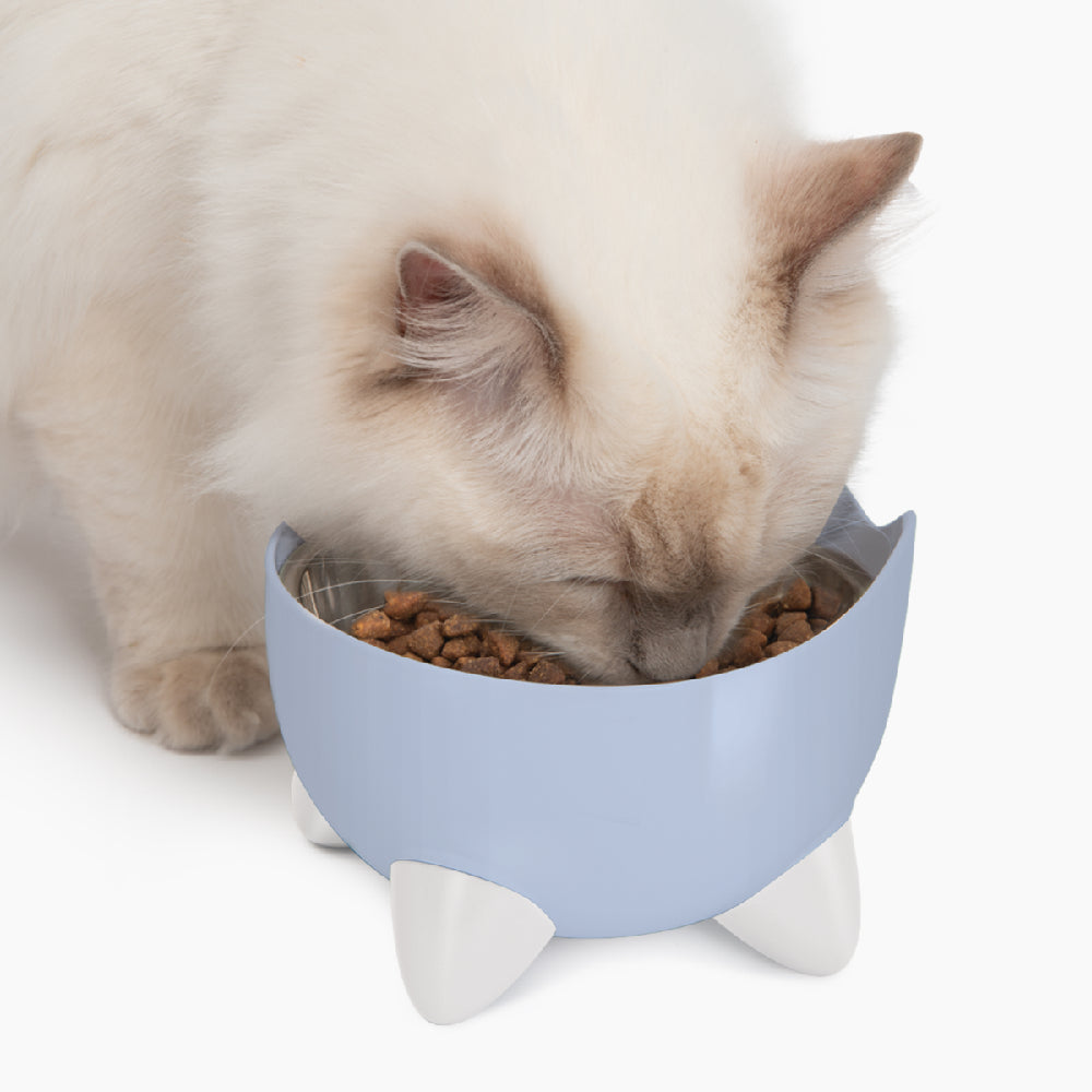 CatIt Pixi Drinking Fountain Combo pack