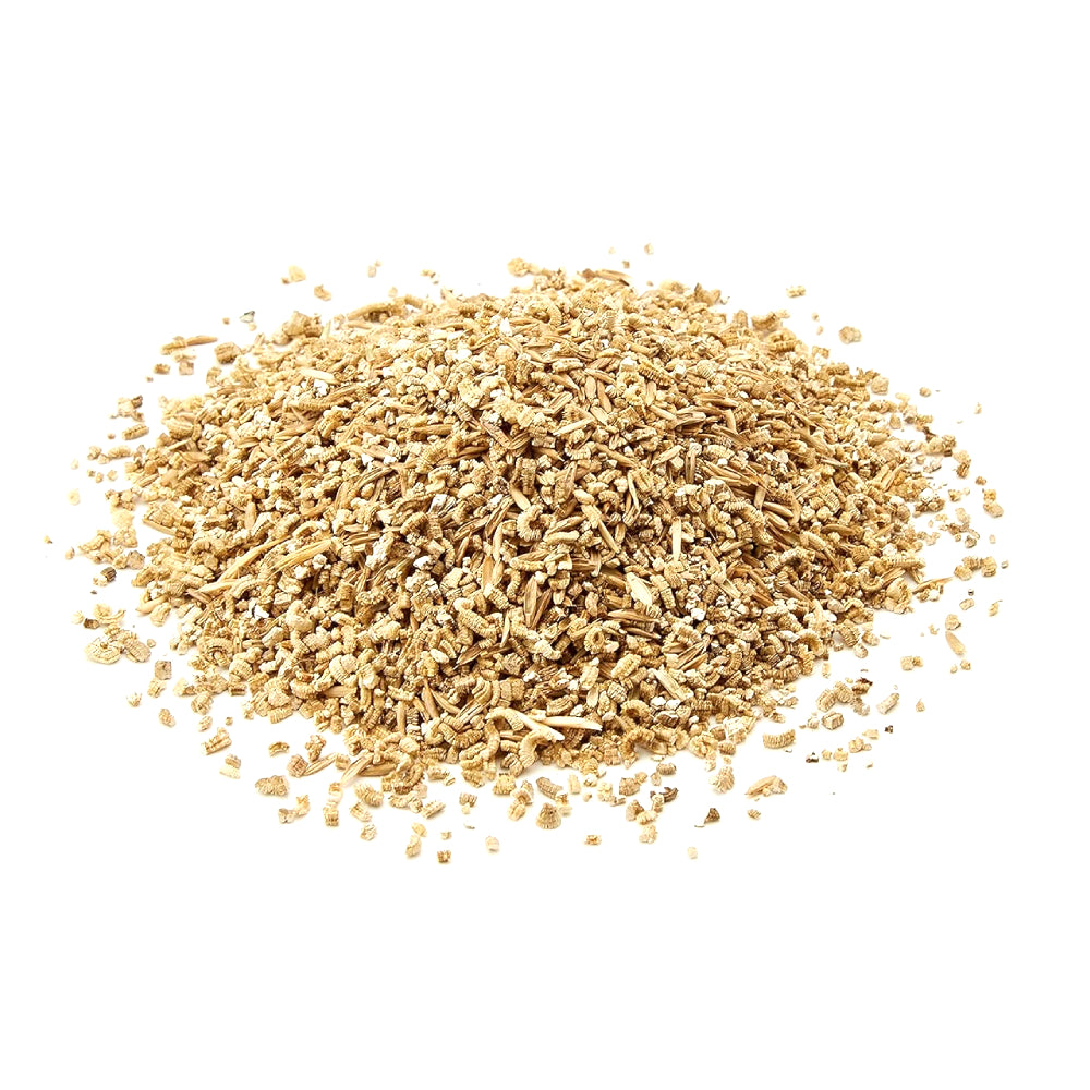 Trixie Cat Grass Refill Bag for Cats - 100G
