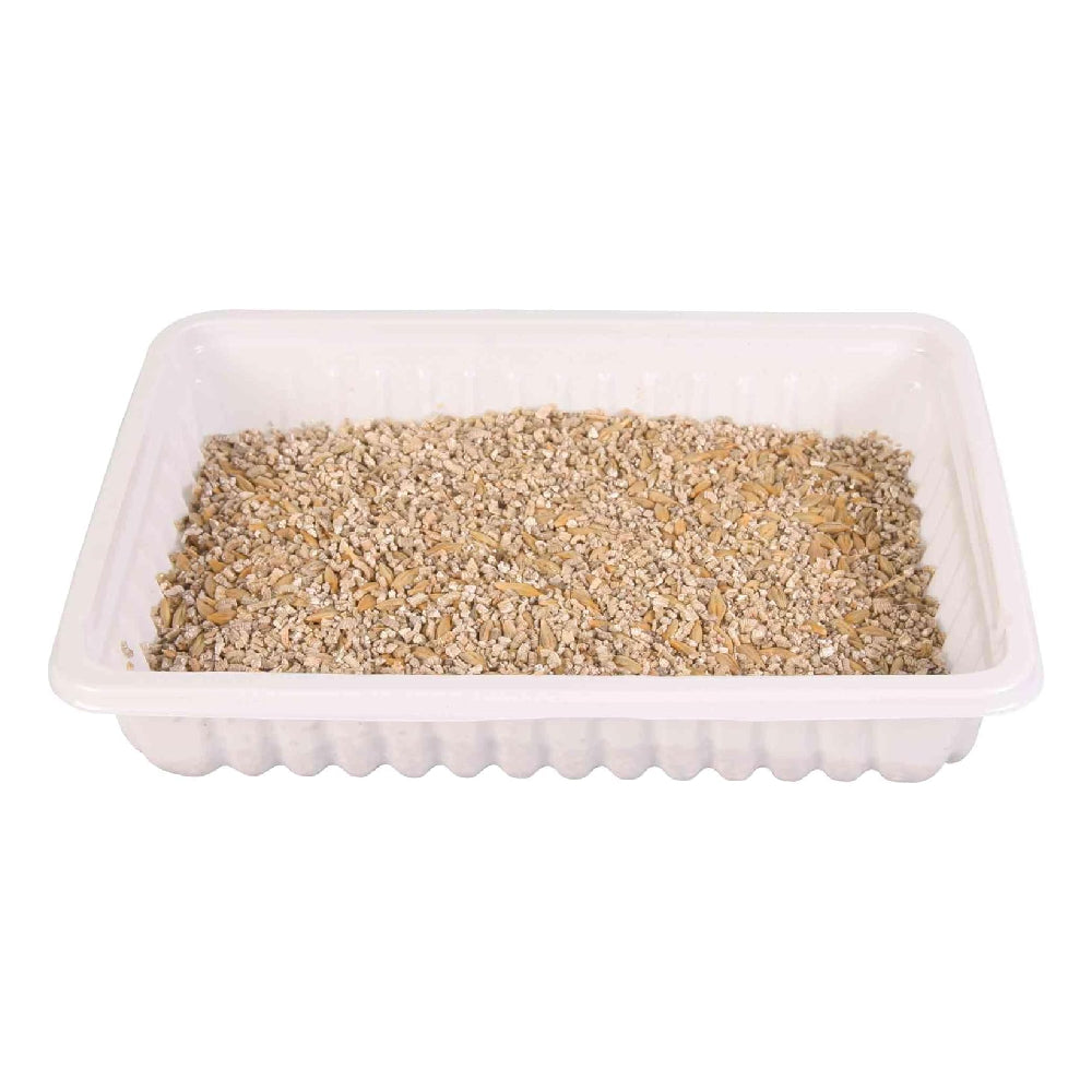 Trixie Soft Cat Grass Refill Tray for Cats 100g