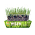 Erba Piu - Week Soil and Seeds Kit for Cat Grass