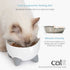 Catit - PIXI Elevated Feeding Dish - White