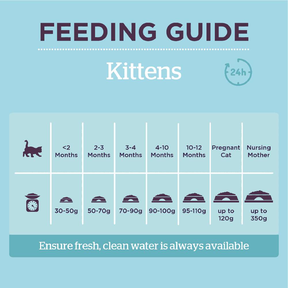 Burgess - Supacat Kitten Dry Food 1.4kg