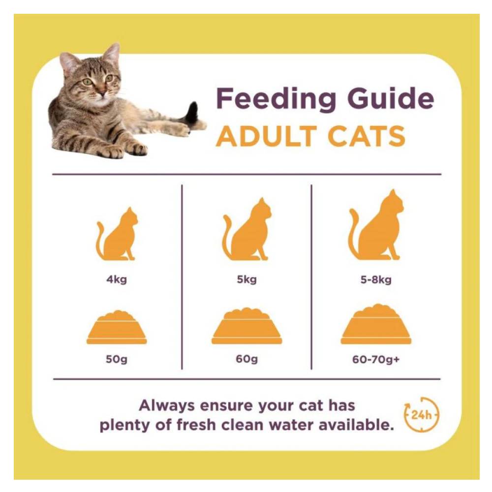 Burgess - Adult Chicken & Duck Cat Dry Food 1.5kg