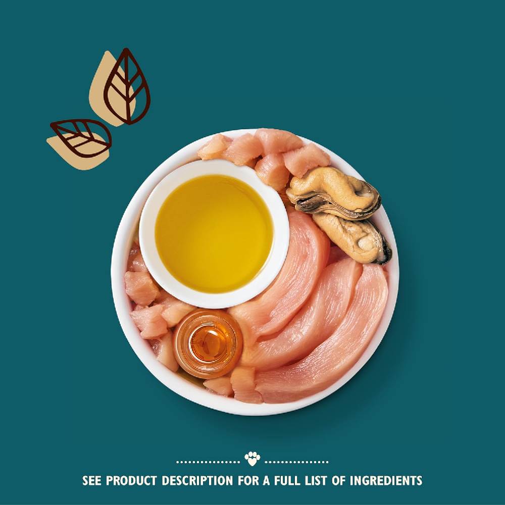 Lily's Kitchen - Shredded Fillets Chicken & Mussels in Broth Wet Cat Food 70G