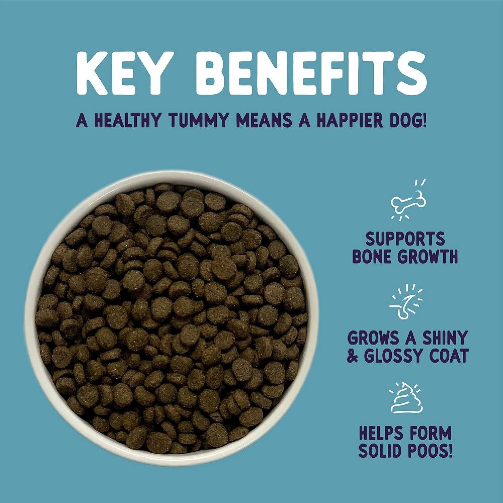 Burgess - Sensitive Dry Puppy Food- 2 KG
