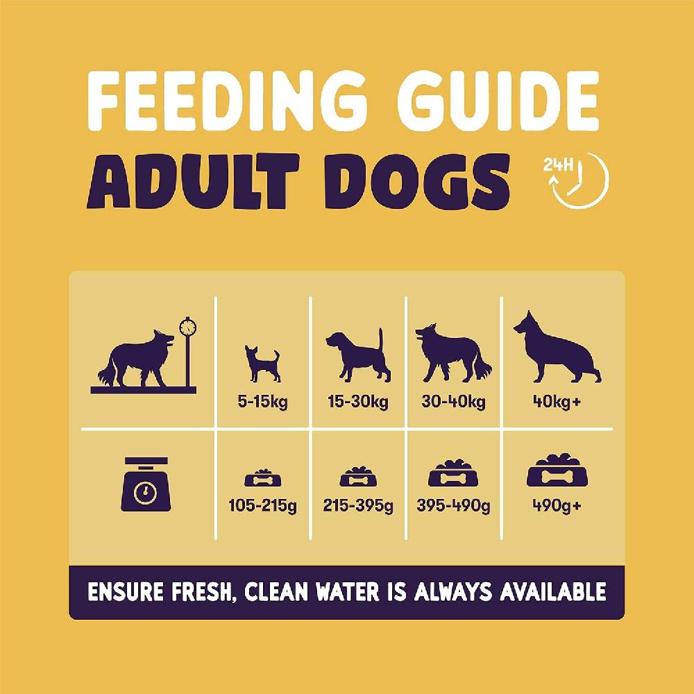 Burgess - Sensitive Adult Turkey Dry Dog Food-2 KG