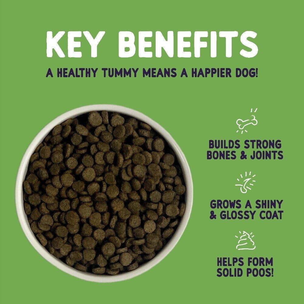 Burgess - Sensitive Adult Lamb Dry Dog Food-2 Kg
